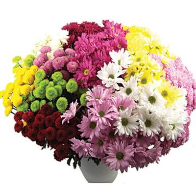 Assorted Flower Arrangements