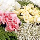Wedding Flower Packs