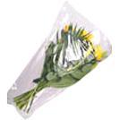 Cellophane 