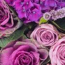 Purple / Lavender Flowers