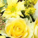 Yellow Flowers
