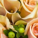 Peach Flowers