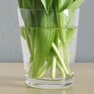 Cylinder Glass Vases