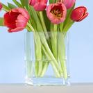 Square Glass Vases