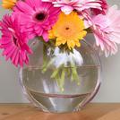 Specialty Glass Vases