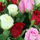 Sweetheart Roses