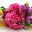 APW Summer Bouquet