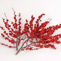 Winter Berry20