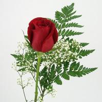 Rose Bouquet (1 - Red) : Wholesale Flowers : Blooms By The Box