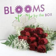 Rose Bouquet (12 - Red) : Wholesale Flowers : Blooms By The Box