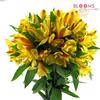 Alstroemeria Yellow : Wholesale Flowers : Floral Supplies