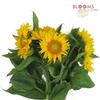Sunflower Yellow/ Yellow Center : Wholesale Flowers : Floral Supplies