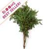 Eucalyptus Seeded : Wholesale Flowers : Floral Supplies