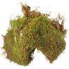Sheet Moss : Wholesale Flowers : Floral Supplies