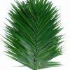 Tepee : Wholesale Flowers : Floral Supplies