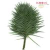 Tepee : Wholesale Flowers : Floral Supplies