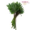 Xanadu Philodendron : Wholesale Flowers : Floral Supplies