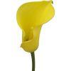 Calla Lily Mini (Yellow) : Wholesale Flowers : Floral Supplies