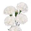 Mini Carnations White : Wholesale Flowers : Floral Supplies