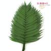 Emerald : Wholesale Flowers : Floral Supplies