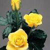 Rose Gold Strike (Yellow) 50 cm : Wholesale Flowers : Floral Supplies