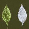 Never Wilt Tinsel Leaf (White) (100/pk) : Wholesale Flowers : Floral Supplies
