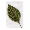 Silk Corsage Leaves - Moss Green - 100 : Wholesale Flowers : Floral Supplies