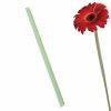 Gerbera Sleeves Clear (250 sleeves per bag) : Wholesale Flowers : Floral Supplies