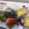 Wholesaler's Choice Flower Pack (Medium) : Wholesale Flowers : Floral Supplies