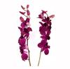 Dendrobium Orchid (Purple) : Wholesale Flowers : Floral Supplies