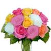 Roses (Assorted Colors) 40 Cm : Wholesale Flowers : Floral Supplies
