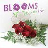 Rose Bouquet (6 Stems) Red (Box/12) : Wholesale Flowers : Floral Supplies