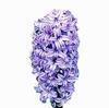 Hyacinthus Blue : Wholesale Flowers : Floral Supplies