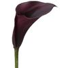 Calla Lily Mini (Black) : Wholesale Flowers : Floral Supplies