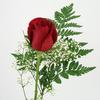 Rose Bouquet (1 - Red) : Wholesale Flowers : Floral Supplies