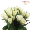 Sweetheart Roses White : Wholesale Flowers : Floral Supplies