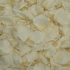 Ivory/ Bridal White FD Rose Petals (30 Cups) : Wholesale Flowers : Floral Supplies