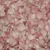 Petite Pink FD Rose Petals (30 Cups) : Wholesale Flowers : Floral Supplies