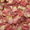 Alluring Pink FD Rose Petals (30 Cups) : Wholesale Flowers : Floral Supplies