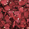 Deep Pink & Red FD Rose Petals (30 Cups) : Wholesale Flowers : Floral Supplies