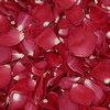 Ruby Red FD Rose Petals (30 Cups) : Wholesale Flowers : Floral Supplies