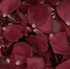 Crimson Red FD Rose Petals (30 Cups) : Wholesale Flowers : Floral Supplies