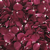 Merlot Red FD Rose Petals (30 Cups) : Wholesale Flowers : Floral Supplies
