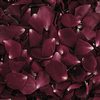 Burgundy Red Rose Petals (30 Cups) : Wholesale Flowers : Floral Supplies