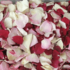 Bridal Bliss Blend FD Rose Petals (30 Cups) : Wholesale Flowers : Floral Supplies