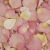 Assorted Pastel Blend FD Rose Petals (30 Cups) : Wholesale Flowers : Floral Supplies