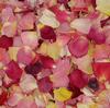 Assorted Bright Blend FD Rose Petals (30 Cups) : Wholesale Flowers : Floral Supplies