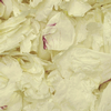 Off White FD Peony Petals (30 Cups) : Wholesale Flowers : Floral Supplies