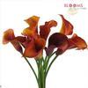 Mini Calla Lily Mango / Orange : Wholesale Flowers : Floral Supplies