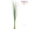 Steel Grass : Wholesale Flowers : Floral Supplies